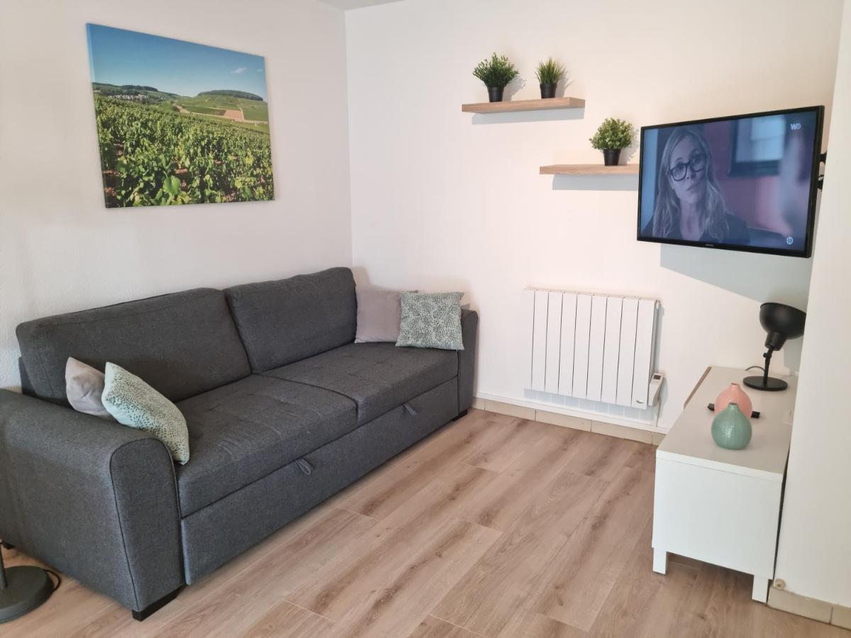Beaune Appartement Avec Parking Et Wifi Gratuit Bagian luar foto
